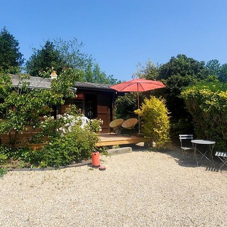 Chalet En Pleine Nature Au Bord D'Un Etang Lanvallay エクステリア 写真