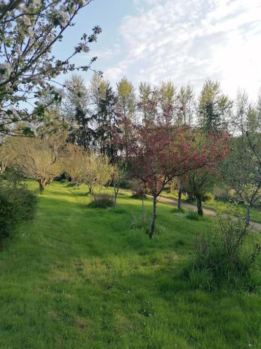 Chalet En Pleine Nature Au Bord D'Un Etang Lanvallay エクステリア 写真