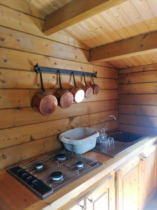 Chalet En Pleine Nature Au Bord D'Un Etang Lanvallay エクステリア 写真