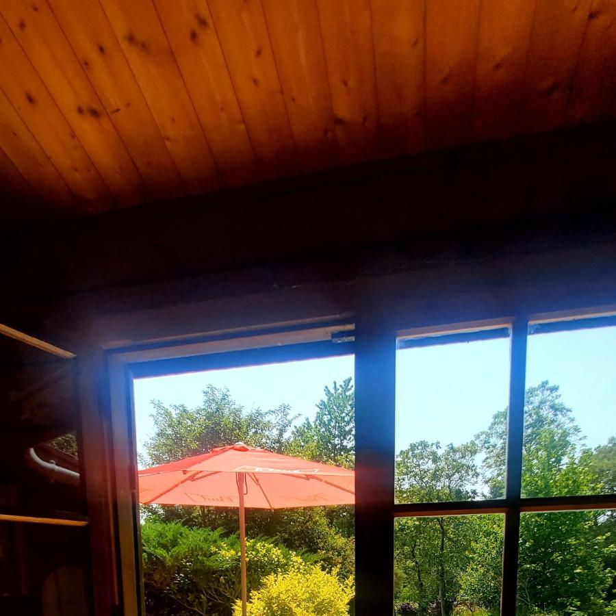Chalet En Pleine Nature Au Bord D'Un Etang Lanvallay エクステリア 写真